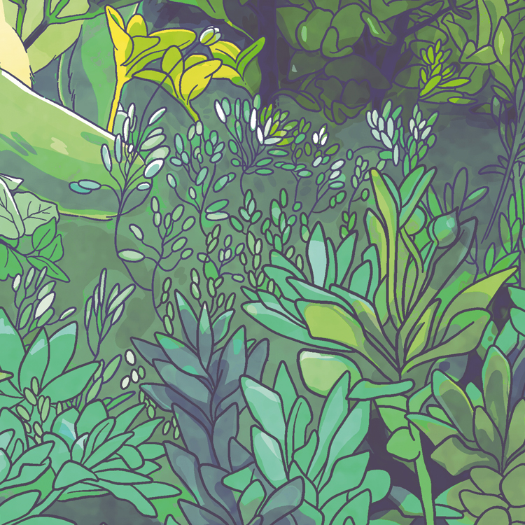 Frankie Outside 2025